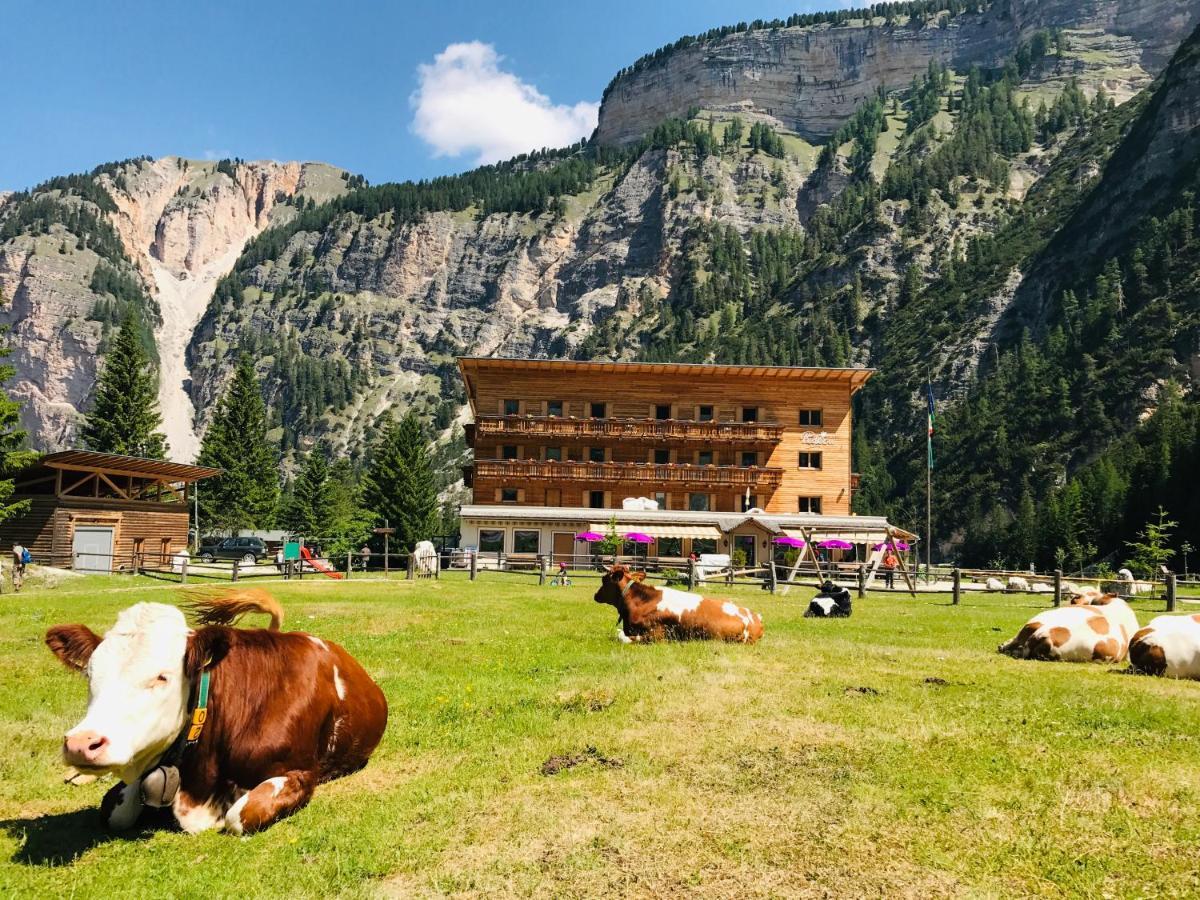 Hotel Pederue San Vigilio Di Marebbe Esterno foto